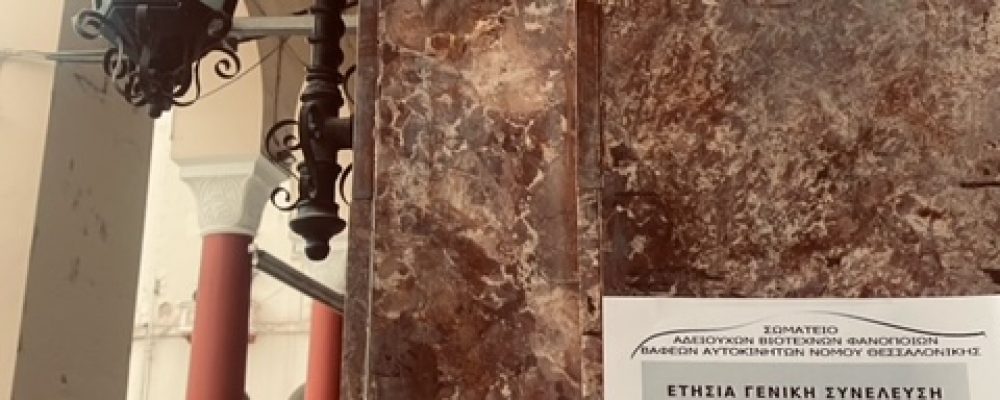ΔΕΛΤΙΟ ΤΥΠΟΥ Γ.Σ. ΣΑΒΦΒΑΝΘ 22/4/2024 ΣΤΟ ΒΕΘ