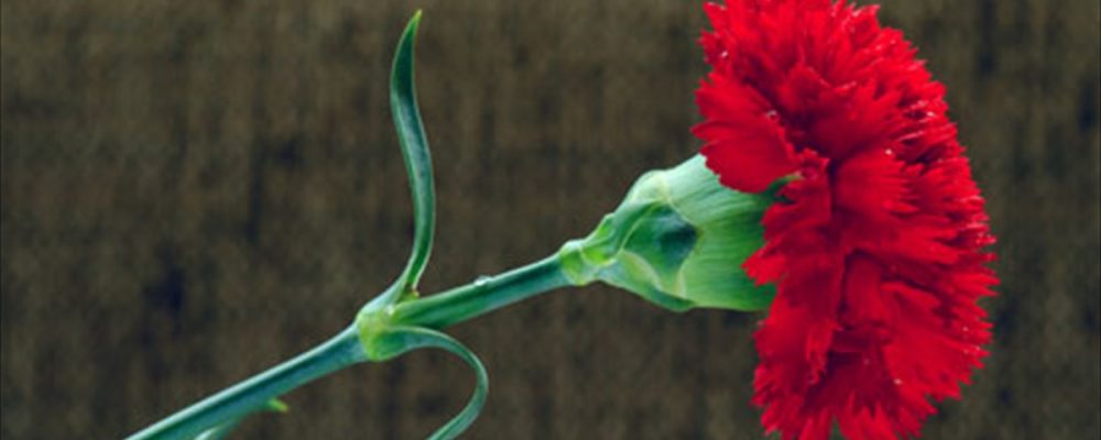 ΔΕΛΤΙΟ ΤΥΠΟΥ ΕΡΓΑΤΙΚΗΣ ΠΡΩΤΟΜΑΓΙΑΣ